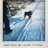 image-12.jpg