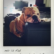 image-66.jpg