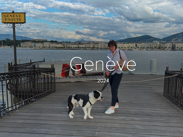 suisse_spaziergaenge_blog_teaser_geneve