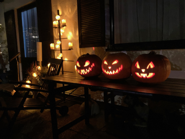 haus_garten_blog_teaser_deko_halloween_2022