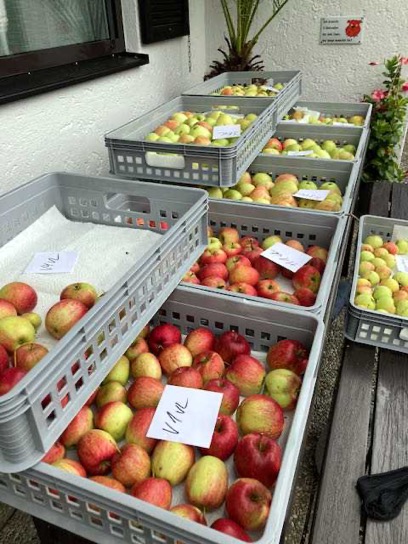 haus_garten_blog_teaser_ernte_apfel