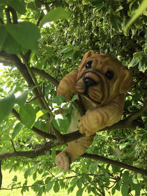 haus_garten_blog_teaser_figuren_dog_puppy