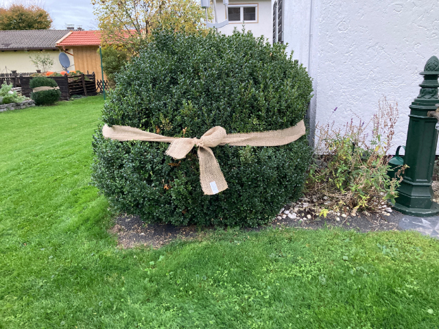 haus_garten_blog_teaser_winter_vorbereitungen_buchs