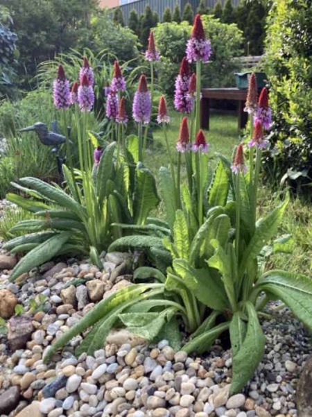 haus_garten_blog_titel_klein