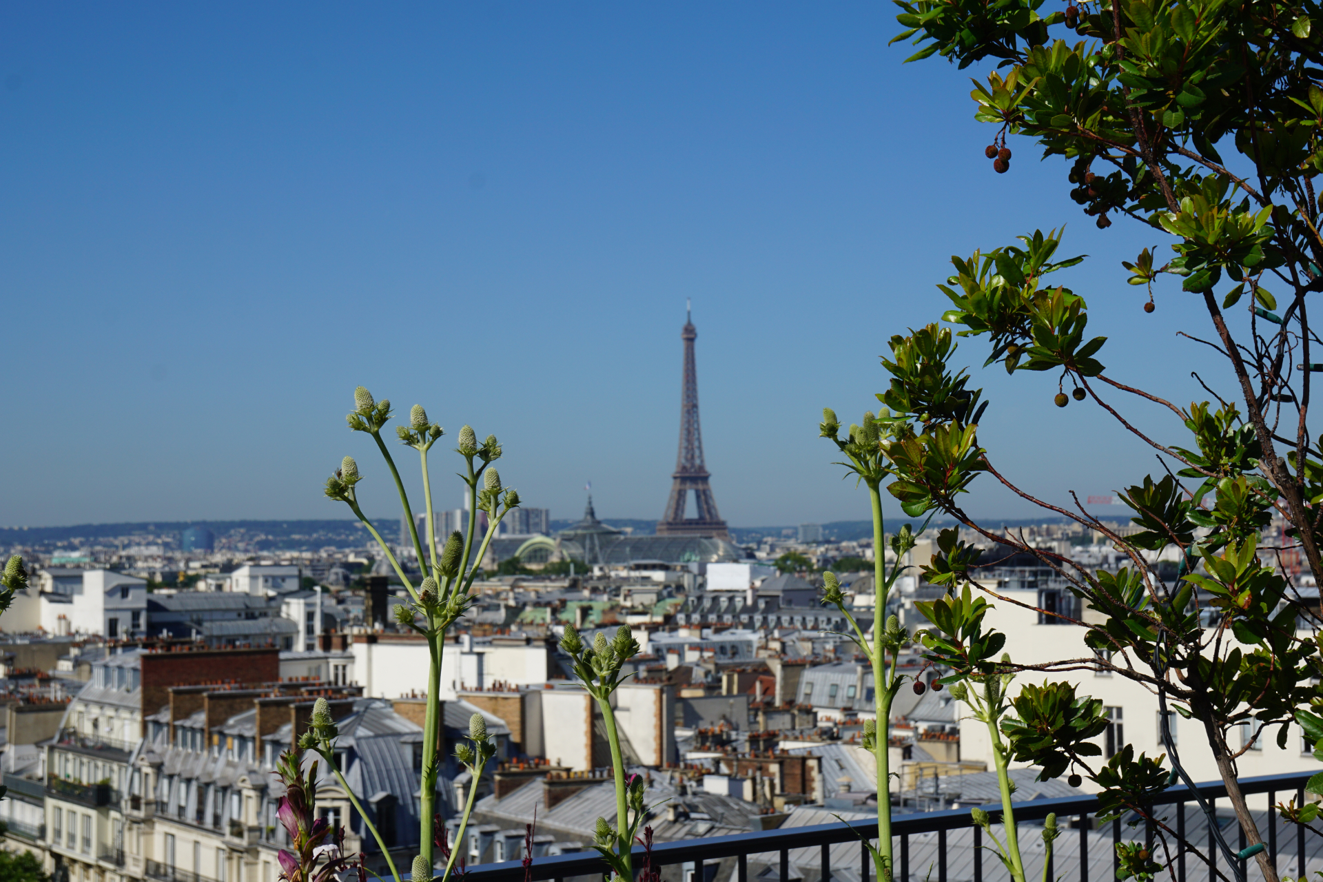 France